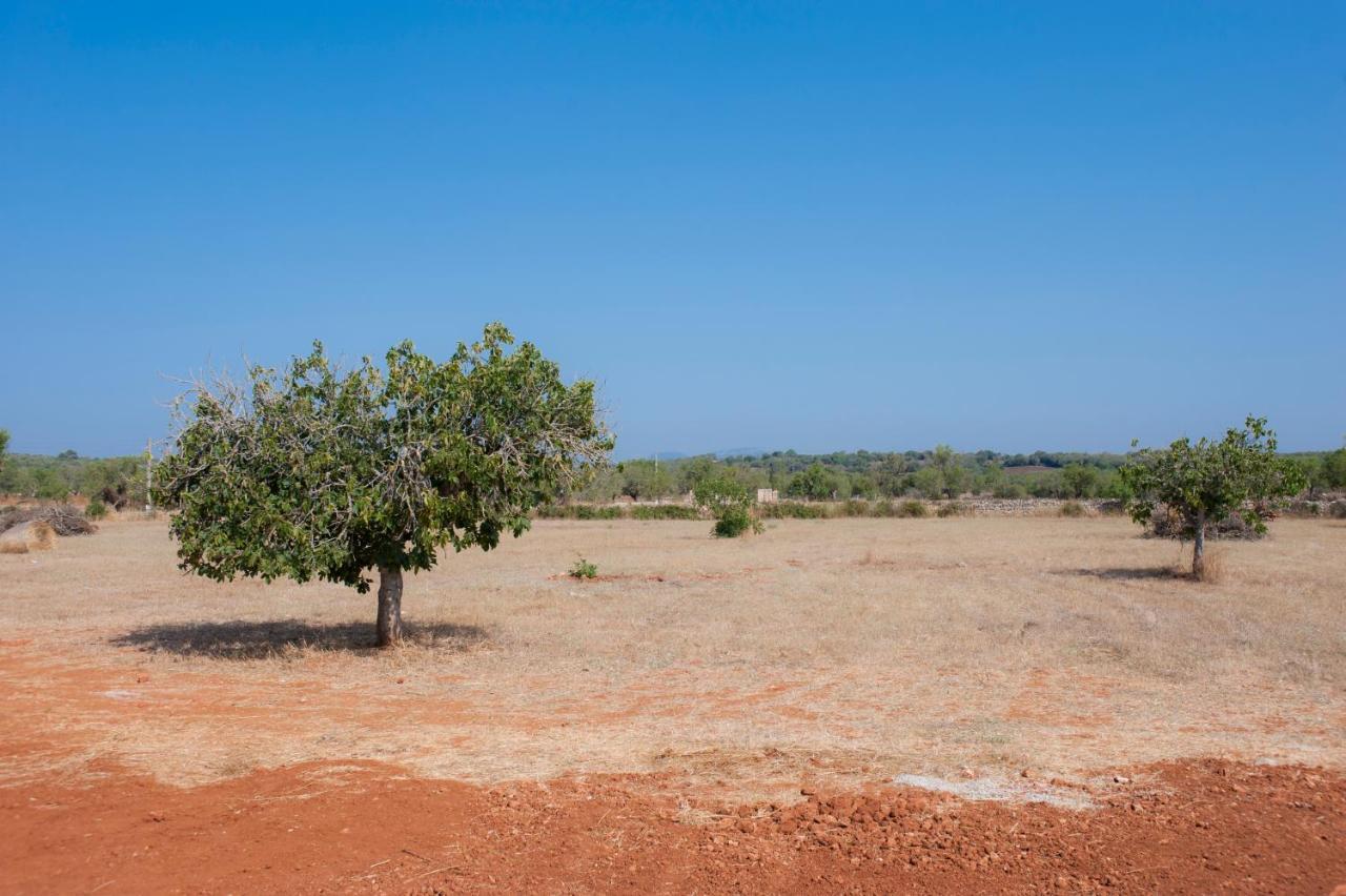 Вилла Finca Xorca Кас-Конкос-дес-Каваллер Экстерьер фото